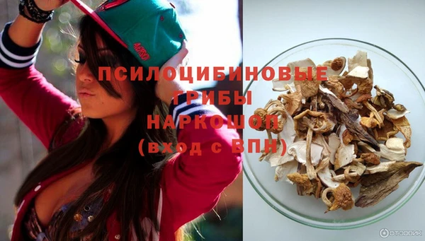 крисы Тайга