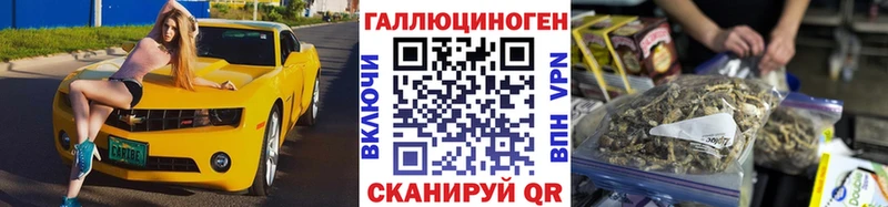 Купить закладки  Бабушкин  Псилоцибиновые грибы GOLDEN TEACHER 